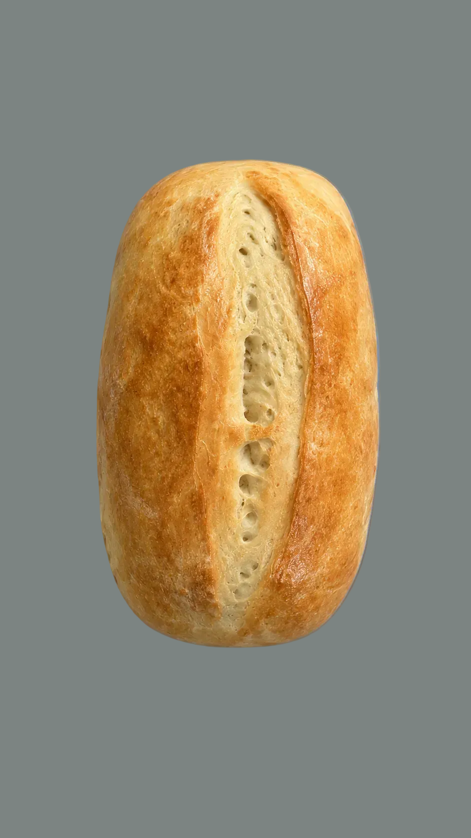 Brioche Sourdough breadnaut