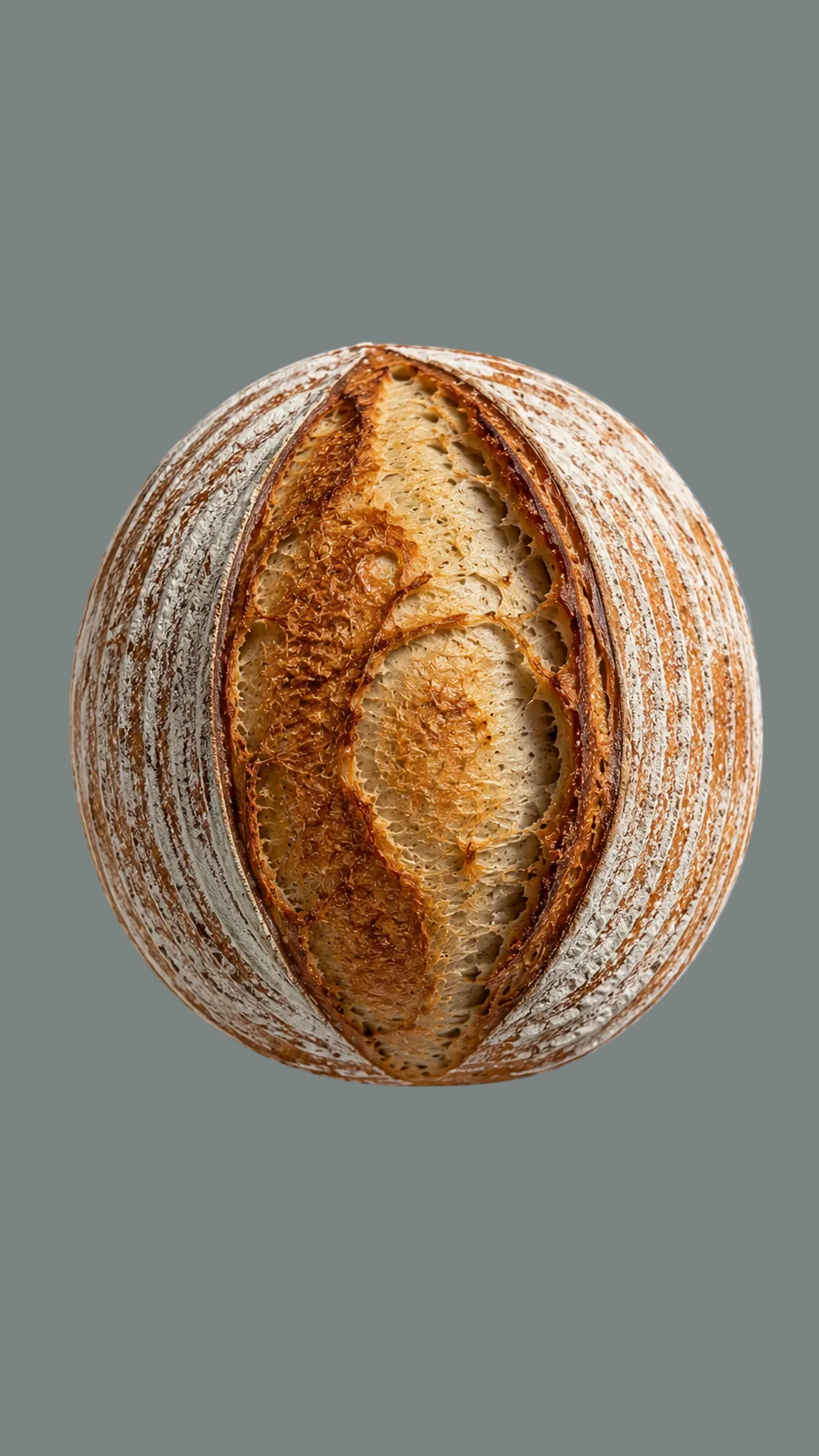Plain Sourdough breadnaut